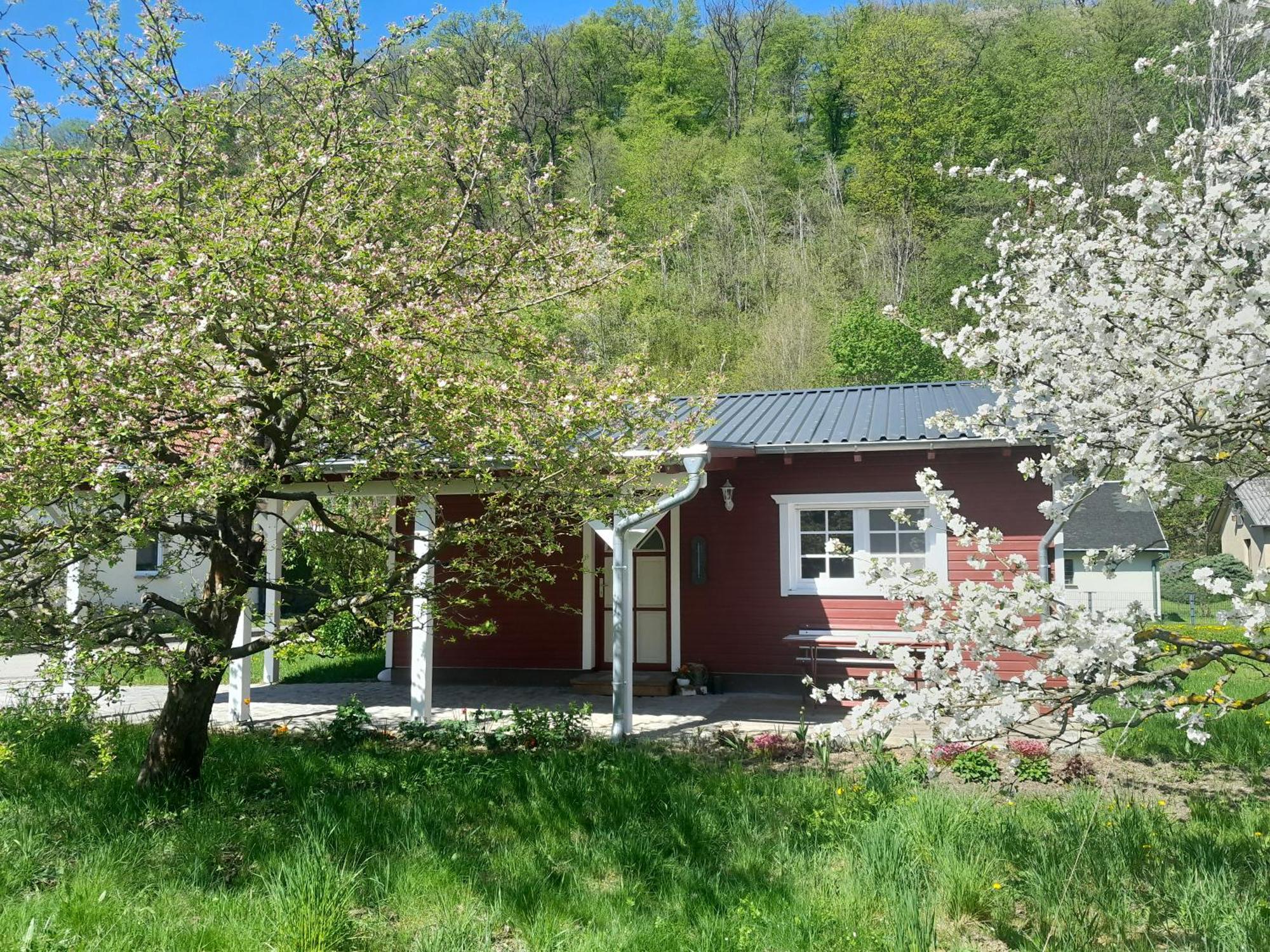 Ferienhaus Am Wald Wippra Exterior foto